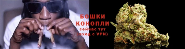 spice Волосово