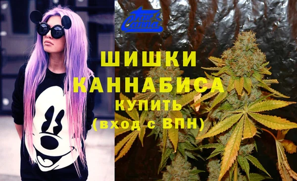 гидропоника Волоколамск